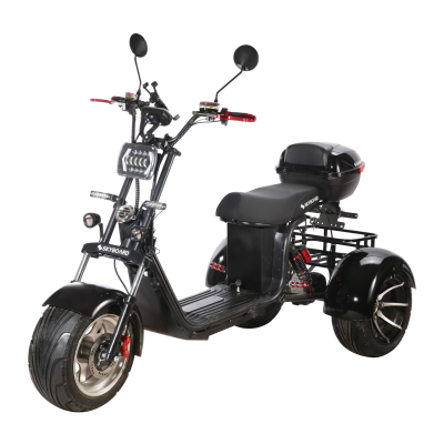 Электробайк Skyboard BR60-3000 Pro Fast купить в Тольятти