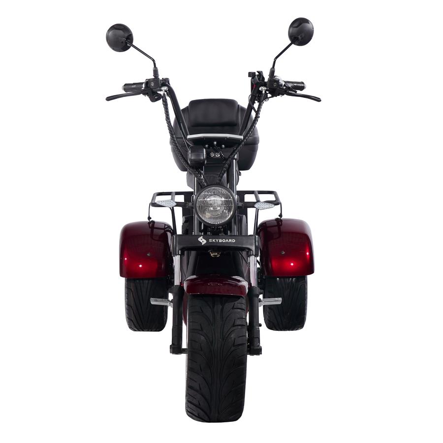 Электроскутер СitiCoco SkyBoarD BR80 Trike купить в Тольятти