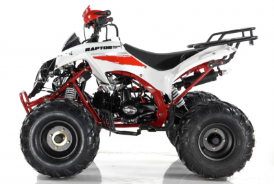 Motax ATV Raptor Super LUX 125 купить в Тольятти