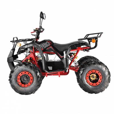 Электроквадроцикл White Siberia Sneg Pro 3000W купить в Тольятти