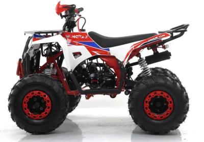Квадроцикл MOTAX GRIZLIK A125 купить в Тольятти