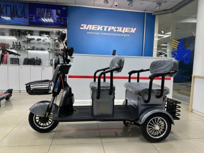 Электротрицикл Ikingi Sibtrike T5 (105) купить в Тольятти