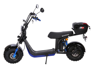 Электроскутер Skyboard BR20-2WD Pro Fast Off-Road купить в Тольятти