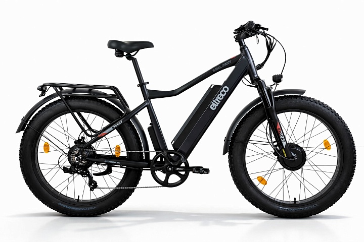 Электровелосипед Eltreco BigCat Dual Next купить в Тольятти