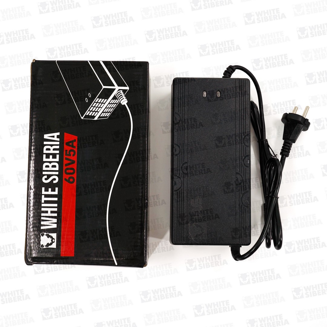 Зарядное устройство WS Teverun Fighter 2A Оригинал купить в Тольятти