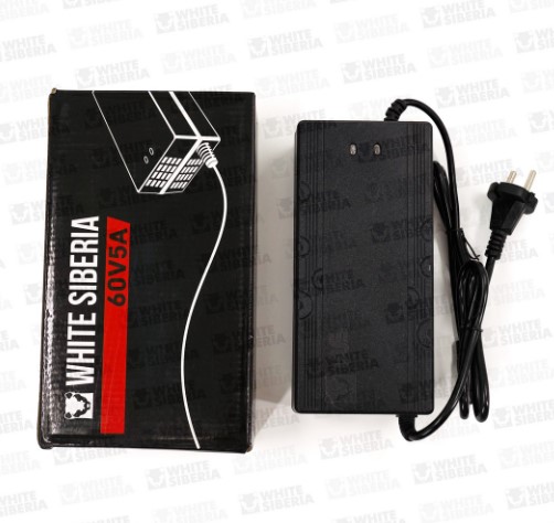 Зарядное устройство WS Teverun Fighter/Bandit 60V 5Ah купить в Тольятти