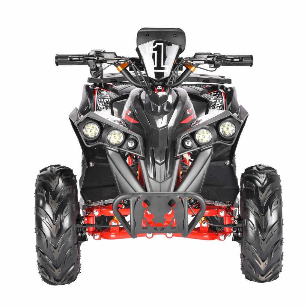 Электроквадроцикл White Siberia Sneg R 1500W купить в Тольятти
