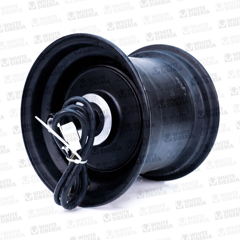 CITYCOCO Мотор колесо 2000W 8 дюйм (2WD) , Ширина магнита 60мм купить в Тольятти