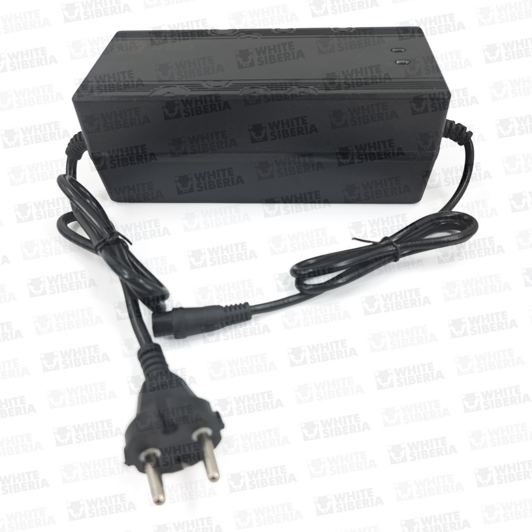 Быстрое зарядное устройство 72V5Ah купить в Тольятти