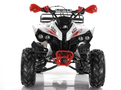 Motax ATV Raptor Super LUX 125 купить в Тольятти