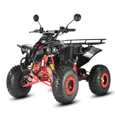 Электроквадроцикл White Siberia Sneg Pro R 3000W купить в Тольятти