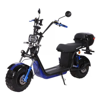 Электроскутер Skyboard BR20-2WD Pro Fast Off-Road купить в Тольятти