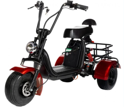 Трёхколёсный электроскутер CityCoco Trike GT X5 Mini купить в Тольятти