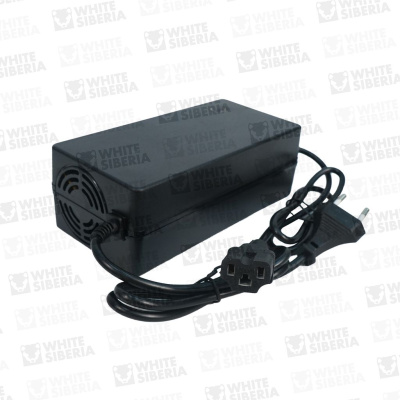 Зарядное устройство Sneg Pro 60V20Ah купить в Тольятти