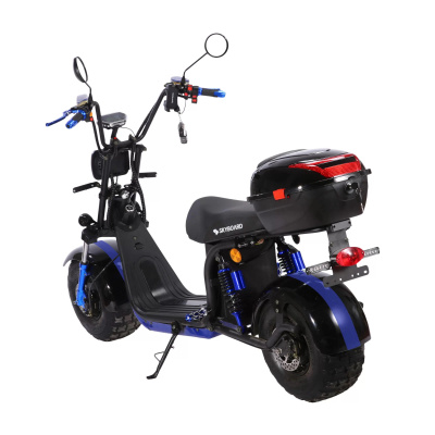 Электроскутер Skyboard BR20-2WD Pro Fast Off-Road купить в Тольятти