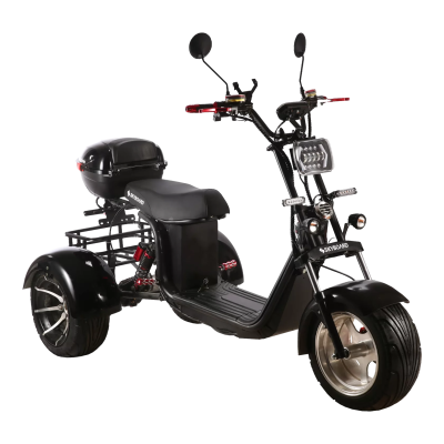 Электробайк Skyboard BR60-3000 Pro Fast купить в Тольятти