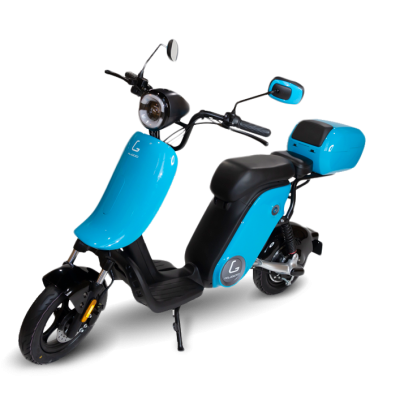 Электроскутер Kugoo King Jilong 1000W/17Ah купить в Тольятти