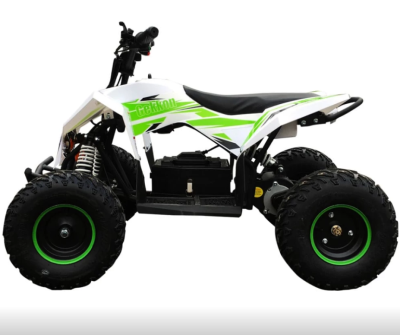 Электроквадроцикл Gekkon 1300W купить в Тольятти