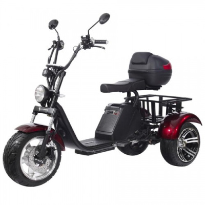 Электроскутер СitiCoco SkyBoarD BR80 Trike купить в Тольятти