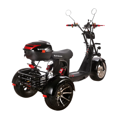 Электробайк Skyboard BR60-3000 Pro Fast купить в Тольятти