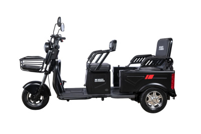 Электротрицикл White Siberia Sibtrike Max 2000W купить в Тольятти