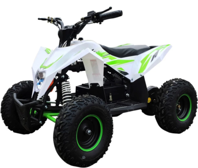 Электроквадроцикл Gekkon 1300W купить в Тольятти