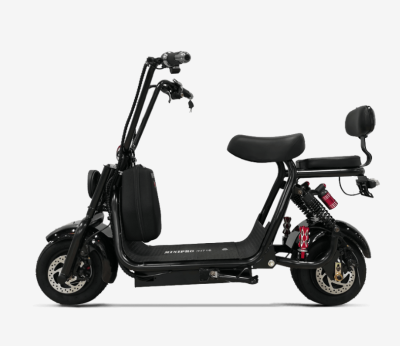 Электроскутер MINIPRO mi716 800W 16Ah 48V купить в Тольятти