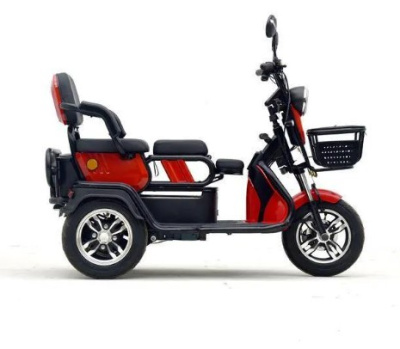 Трицикл GreenCamel Фродо X7 купить в Тольятти