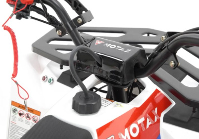 Квадроцикл MOTAX GRIZLIK A125 купить в Тольятти