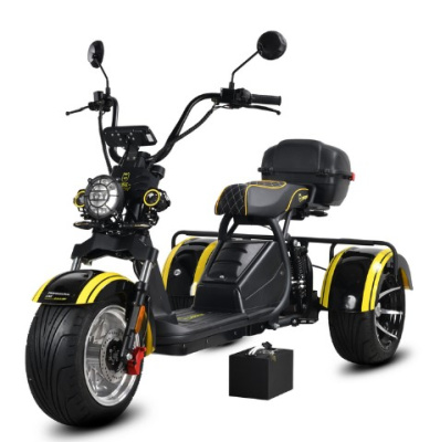 Электротрицикл Siberton Pro 3900W 60V 35Ah купить в Тольятти