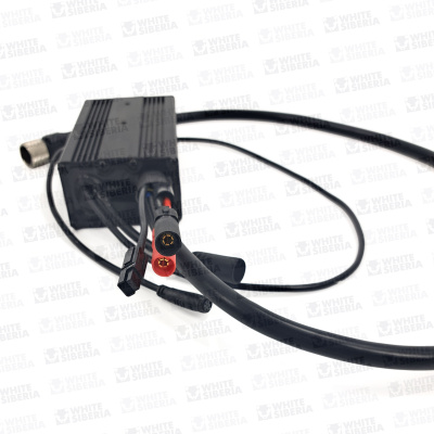 Контроллер задний WS Teverun Baikal купить в Тольятти