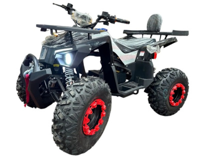 Электроквадроцикл Ikingi 225 купить в Тольятти
