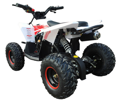 Комплект квадроцикла MOTAX GEKKON 90 cc реверс купить в Тольятти