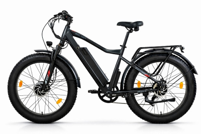 Электровелосипед Eltreco BigCat Dual Next купить в Тольятти